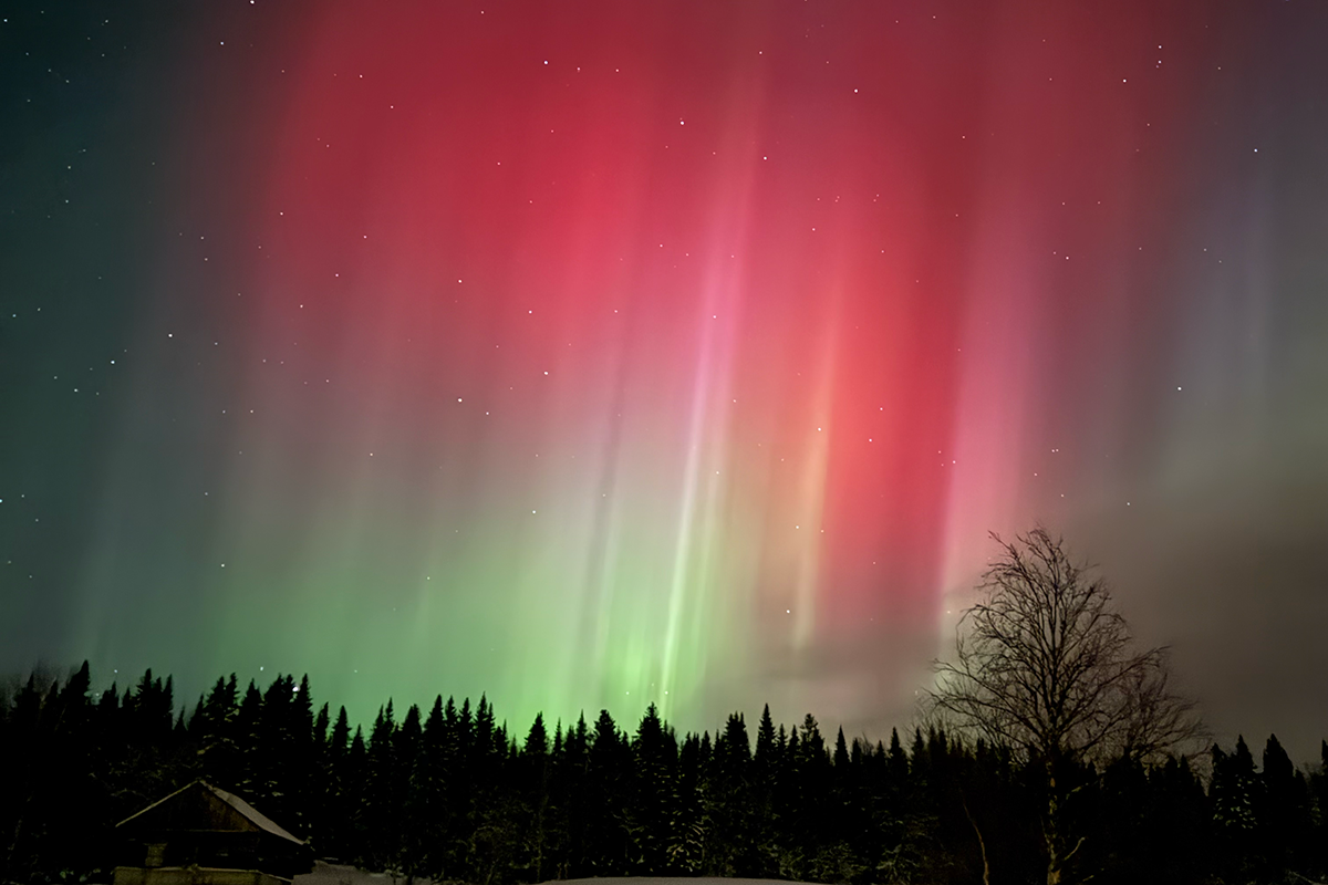 Snowtopia är tillbaka – ackompanjerat av Thomas Öberg