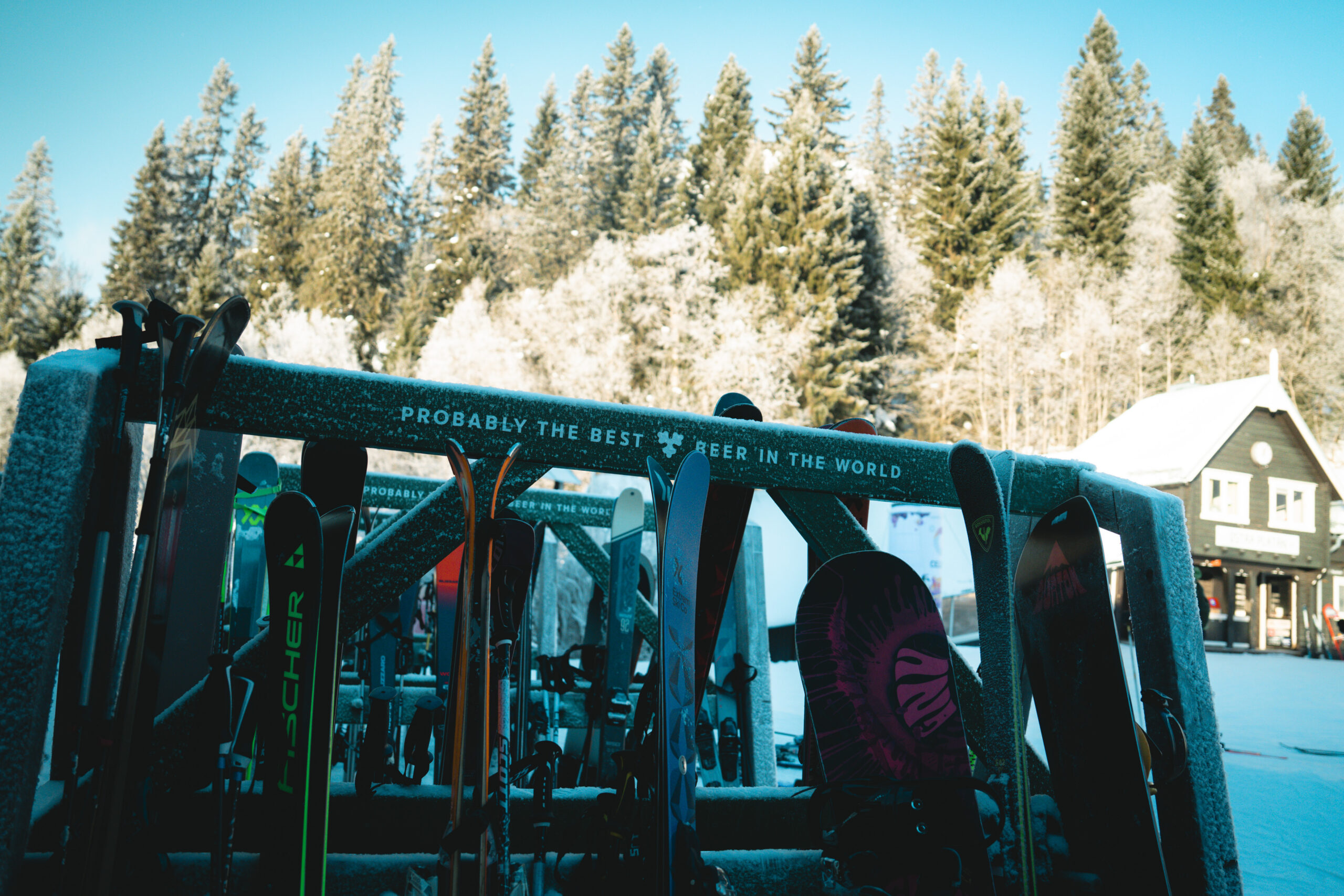 Carlsbergtältet – mat, dryck & afterski på Nationalarenan